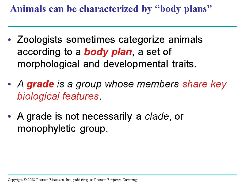 Animals can be characterized by “body plans” Zoologists sometimes categorize animals according to a